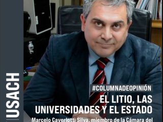 EL LITIO, LAS UNIVERSIDADES Y EL ESTADO